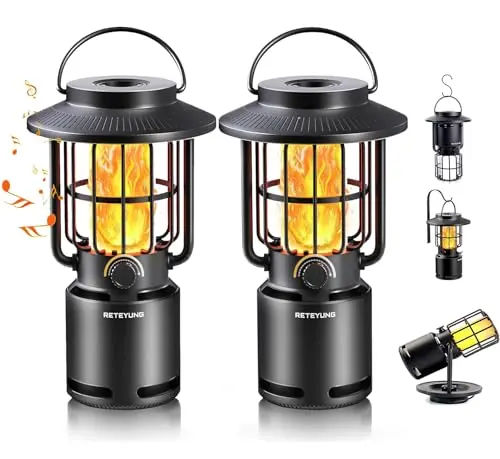 RETEYUNG outdoor Bluetooth speaker with LED flame light