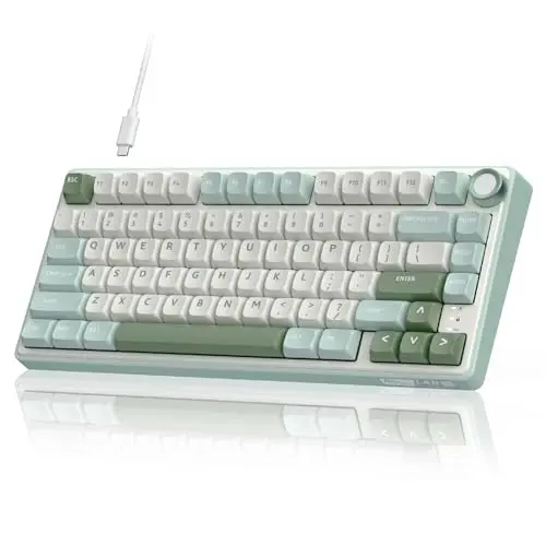 RK ROYAL KLUDGE R75 wired mechanical keyboard with volume knob and RGB lighting