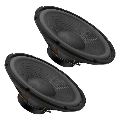 5 CORE 12-inch PA DJ subwoofer pair